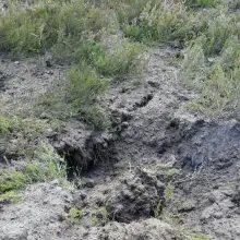 Zobacz zdjęcie: Akcja Patrolu Saperskiego Bolesławiec na wrzosowisku w powiecie bolesławieckim i lubańskim