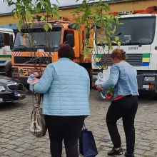 Zobacz zdjęcie: Akcja miejskich instytucji