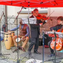 Zobacz zdjęcie: Transgraniczna scena folkowa – Bautzen