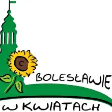 Zobacz zdjęcie: Rozstrzygnięcie konkursu „Bolesławiec w kwiatach”