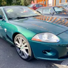 Zobacz zdjęcie: Jaguary w Bolesławcu