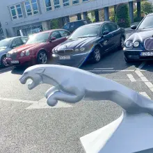 Zobacz zdjęcie: Jaguary w Bolesławcu