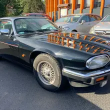 Zobacz zdjęcie: Jaguary w Bolesławcu