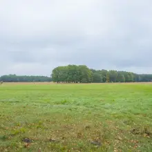 Zobacz zdjęcie: Droga po której miałyby jeździć ciężkie pojazdy i tereny na których miałaby być żwirwonia