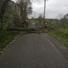 Zobacz zdjęcie: Działania OSP Krzyżowa