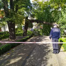 Zobacz zdjęcie: Krajobraz po wichurze. Trwa sprzątanie