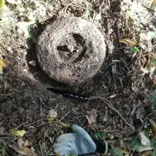 Zobacz zdjęcie: Akcja Patrolu Saperskiego Bolesławiec w powiecie lwóweckim