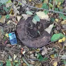 Zobacz zdjęcie: Akcja Patrolu Saperskiego Bolesławiec w powiecie lwóweckim