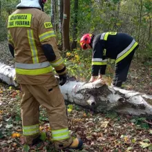 Zobacz zdjęcie: Strażacy OSP Wierzbowa - 9 interwencji po wichurze