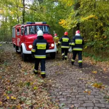 Zobacz zdjęcie: Strażacy OSP Wierzbowa - 9 interwencji po wichurze