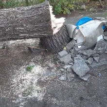 Zobacz zdjęcie: Drzewo ścięte w Gromadce