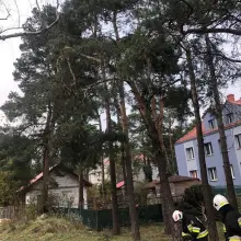 Zobacz zdjęcie: Akcja straży pożarnej w Szczytnicy