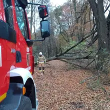 Zobacz zdjęcie: Działania strażaków z Gromadki