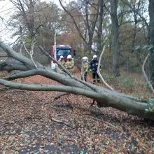 Zobacz zdjęcie: Działania strażaków z Gromadki