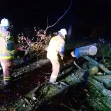 Zobacz zdjęcie: Akcja straży pożarnej w gminie Gromadka