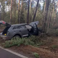 Zobacz zdjęcie: Wypadek i portret pamięciowy
