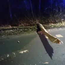 Zobacz zdjęcie: Nocna akcja straży między Gromadką a Modłą