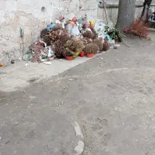 Zobacz zdjęcie: Cmentarz w Nowogrodźcu