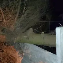 Zobacz zdjęcie: Nocna akcja straży pożarnej w Gromadce