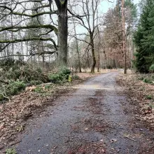 Zobacz zdjęcie: Działania w Ołoboku