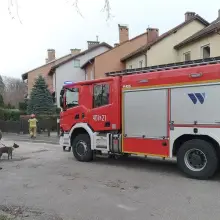 Zobacz zdjęcie: Akcja służb na Witosa