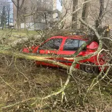 Zobacz zdjęcie: Uszkodzone auta