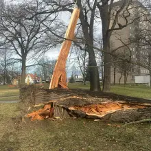 Zobacz zdjęcie: Uszkodzone auta
