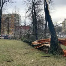 Zobacz zdjęcie: Uszkodzone auta