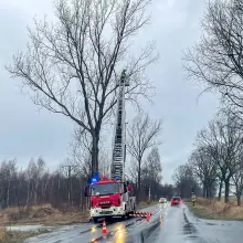 Zobacz zdjęcie: Usuwanie złamanego konaru na drodze z Bolesławca do Łazisk