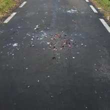 Zobacz zdjęcie: Akty wandalizmu na ścieżce rowerowej