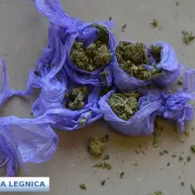Zobacz zdjęcie: Marihuana i poszukiwany