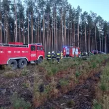Zobacz zdjęcie: Pożar w Wierzbowej