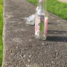 Zobacz zdjęcie: Rozbite butelki w parku przy Obrońców Helu w Bolesławcu