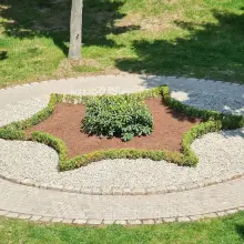 Zobacz zdjęcie: Klomb przy ZSB w Bolesławcu
