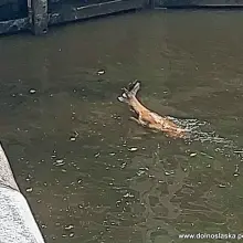 Zobacz zdjęcie: Akcja wrocławskiej policji