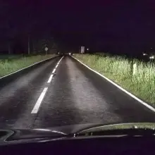 Zobacz zdjęcie: Chaszcze przy drodze