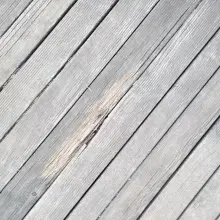 Zobacz zdjęcie: Zdjęcia z parku Bonina wykonane przez Czytelnika