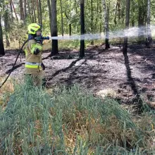 Zobacz zdjęcie: Akcja straży pożarnej w Szczytnicy