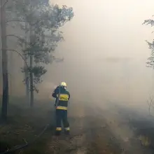 Zobacz zdjęcie: Pożar lasu