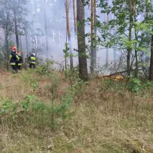 Zobacz zdjęcie: Pożar lasu w leśnictwie Pasternik