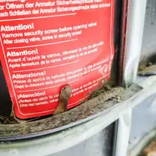 Zobacz zdjęcie: Kontener z chemikaliami w lesie