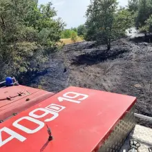 Zobacz zdjęcie: Akcja straży pożarnej w miejscowości Kozłów