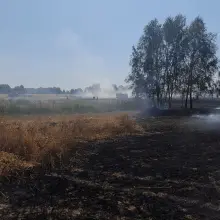 Zobacz zdjęcie: Akcja straży pożarnej w Nowogrodźcu