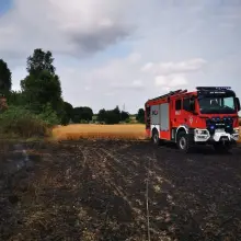 Zobacz zdjęcie: Akcja służb w Chościszowicach