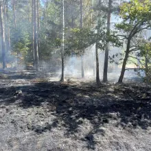 Переглянути фотографію: Пожежі в гміні Gromadka