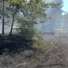 Переглянути фотографію: Пожежі в гміні Gromadka