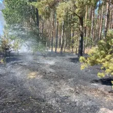 Переглянути фотографію: Пожежі в гміні Gromadka