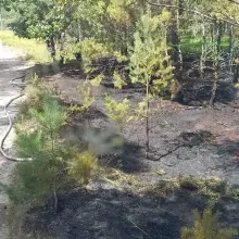 Zobacz zdjęcie: Działania strażaków