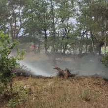 Zobacz zdjęcie: Akcja straży pożarnej w miejscowości Gromadka