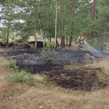 Zobacz zdjęcie: Akcja straży pożarnej w miejscowości Gromadka